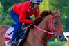 The Puma
Saratoga scenes at Saratoga Race Course in Saratoga Springs, N.Y., on August 26, 2026.