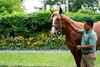 Scene, 2026 Fasig-Tipton Saratoga Sale