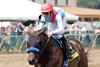 Salahudin wins the 2026 Ellis Park Juvenile Stakes at Ellis Park