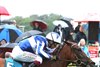 The Lost King wins the 2026 Grand Finale Stakes at York Racecourse
