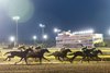 Scenics - Remington Park - 082226