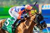 Holmby and jockey Juan Hernandez win the Grade III, $150,000 Sorrento Stakes, Sunday, August 9, 2026 at Del Mar Thoroughbred Club, Del Mar CA.
© BENOIT PHOTO