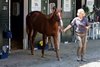 Hip 194, 2026 Saratoga Select Yearling Sale