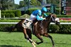 Go For Launch wins the 2026 Bolton Landing Stakes at Saratoga Race Course