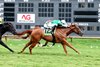 Fanshell Beach wins the 2026 Riverside Rush Stakes at Ellis Park