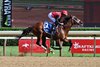 Q B Rocket, Maiden Win, August 15 2026, Saratoga Race Course
