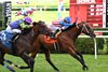Stradale wins the 2026 Mahony Stakes at Saratoga Race Course
