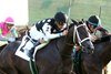 Seneca Park wins the 2026 Untapable Stakes at Kentucky Downs