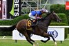 Survie (IRE) wins the 2026 Glens Falls Stakes at Saratoga Race Course