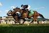 Seneca Park wins the 2026 Untapable Stakes at Kentucky Downs