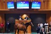 Hip 136, 2026 Saratoga Select Yearling Sale
