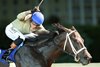 Teachintherelease wins the 2026 Frank Gall Memorial Stakes