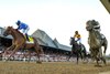 My Gun's Loaded with jockey Manny Franco passes the field at the wire to win the 146th running of The Alabama Presented by Keeneland Sales GI at the Saratoga Race Course Saturday Aug.22, 2026 in Saratoga Springs, N.Y. Photo by Skip Dickstein/Tim Lanahan