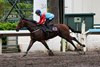 Ka Ying Rising and Zac Purton training at Sha Tin.