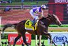 Englishman with Jose Ortiz wins the H. Allen Jerkens Memorial Stakes (G1) at Saratoga Race Course in Saratoga Springs, NY., on Aug. 29, 2026.