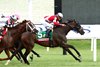 Burnham Square wins the 2026 Arlington Million Stakes at Colonial Downs
