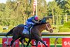 Leading Change with Manuel Franco wins the DraftKings Travers Stakes (G1) at Saratoga Race Course in Saratoga Springs, NY., on Aug. 29, 2026.