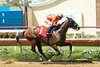 Miss Monica, Maiden Win, August 9 2026, Del Mar