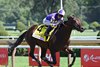 Englishman wins the 2026 H. Allen Jerkens Memorial Stakes at Saratoga Race Course