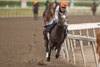 Woodbine, August 11, 2026, Luster breezes at Woodbine under jockey Fraser Aebly for trainer Josie Carroll and owner Gainesway Stable and and Andrew Rosen