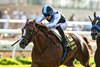 Waming and jockey Juan Hernandez win the Grade II, $250,000 Yellow Ribbon Stakes, Saturday, August 8, 2026 at Del Mar Thoroughbred Club, Del Mar CA.
© BENOIT PHOTO