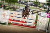 Gude Affair named 2025 Rood & Riddle Sport Horse of the Year