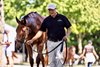 Hip 220, 2026 Keeneland September Sale
by Curlin-Feel That Fire by Lightnin N Thunder