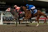 William T wins the 2026 Durham Cup Stakes at Woodbine