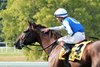 Caroline St. Beat wins the 2026 Nashville Derby Invitational Stakes at Kentucky Downs