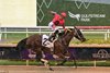 Kerry's Kiss wins the 2026 Princess Rooney Stakes at Gulfstream Park