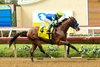 Hughes and jockey Juan Hernandez win the Grade I, $300,000 Del Mar Futurity, Sunday, September 6, 2026 at Del Mar Thoroughbred Club, Del Mar CA.
© BENOIT PHOTO
