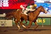 War Court, AOC, November 30 2025, Woodbine
