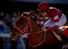 Forever Young and Ryusei Sakai wins the Jockey Club Gold Cup at Belmont Park in Elmont, New York on September, 18, 2026. Photo by: Alex Evers