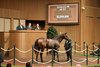 Hip 973, 2026 Keeneland September Sale
