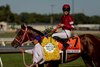 Forever Young and Ryusei Sakai wins the Jockey Club Gold Cup at Belmont Park in Elmont, New York on September, 18, 2026. Photo by: Alex Evers