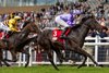 The Flying Five Stakes Gr.1 won by Commache Brave and Billy Loughnane.
Irish Champions Festival day 2.
The Curragh.
Photo: Patrick McCann/Racing Post
13.09.2026.