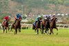 Medoro and jockey Juan Hernandez, second from right, win the Grade II, $250,000 John C. Mabee Stakes, Monday, September 7, 2026 at Del Mar Throughbred Club, Del Mar CA.
© BENOIT PHOTO