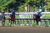 Jockey Manny Franco sits atop The Good Life on the way to the win the 122nd running of The Spendthrift Farm Hopeful GI at the Saratoga Race Course Sunday Sept. 6, 2026 in Saratoga Springs, N.Y.
