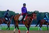 Forever Young coming off the main track.
Breeders’ Cup veterinary guide images and scenes at Belmont Park in Elmont, New York., on Sept. 17, 2026.