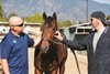 Justin Border; Ryan Exline; Storm the Court; Border-Exline Racing; Santa Anita Park; January, 4, 2020