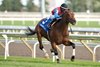 Jockey Jalon Samuel guides Fire and Wine to victory in the $400,000 Breeders's Stakes, the final leg of the Canadian Triple Crown, for owner Paul Ryder and trainer Zeljko Krcmar. Woodbine/ Michael Burns Photo