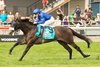 Al Hudaiba (GB) wins the 2026 Summer Stakes at Woodbine
