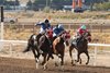 Bobby Chancelot wins the 2026 Sweetwater Thoroughbred Derby at Sweetwater Downs