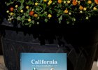 Preparing for the Fasig-Tipton California Fall Yearlings Sale, Pomona, California 9.28.2026.