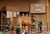 Hip 297, 2026 Keeneland September Sale