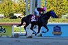 Diktaean (JPN) wins the 2026 Korea Cup at Seoul Racecourse
