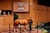 Hip 803, 2026 Keeneland September Sale