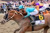 The Puma #6 with Javier Castellano riding won the $1,000,000 Grade I Pennsylvania Derby at Parx Racing in Bensalem, PA on Saturday September 19, 2026. Further Ado #7 finished second. Photo by Nikki Sherman/EQUI-PHOTO.