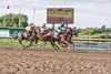 Military Time wins the 2026 Prince of Wales Stakes at Fort Erie