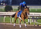 Arabian Crown under exercise rider Salem Golan on September 30, 2026 at Woodbine Racetrack.Woodbine/ Michael Burns Photo